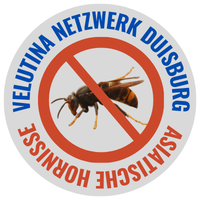 Velutina Netzwerk Duisburg