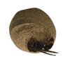 category icon