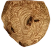 category icon